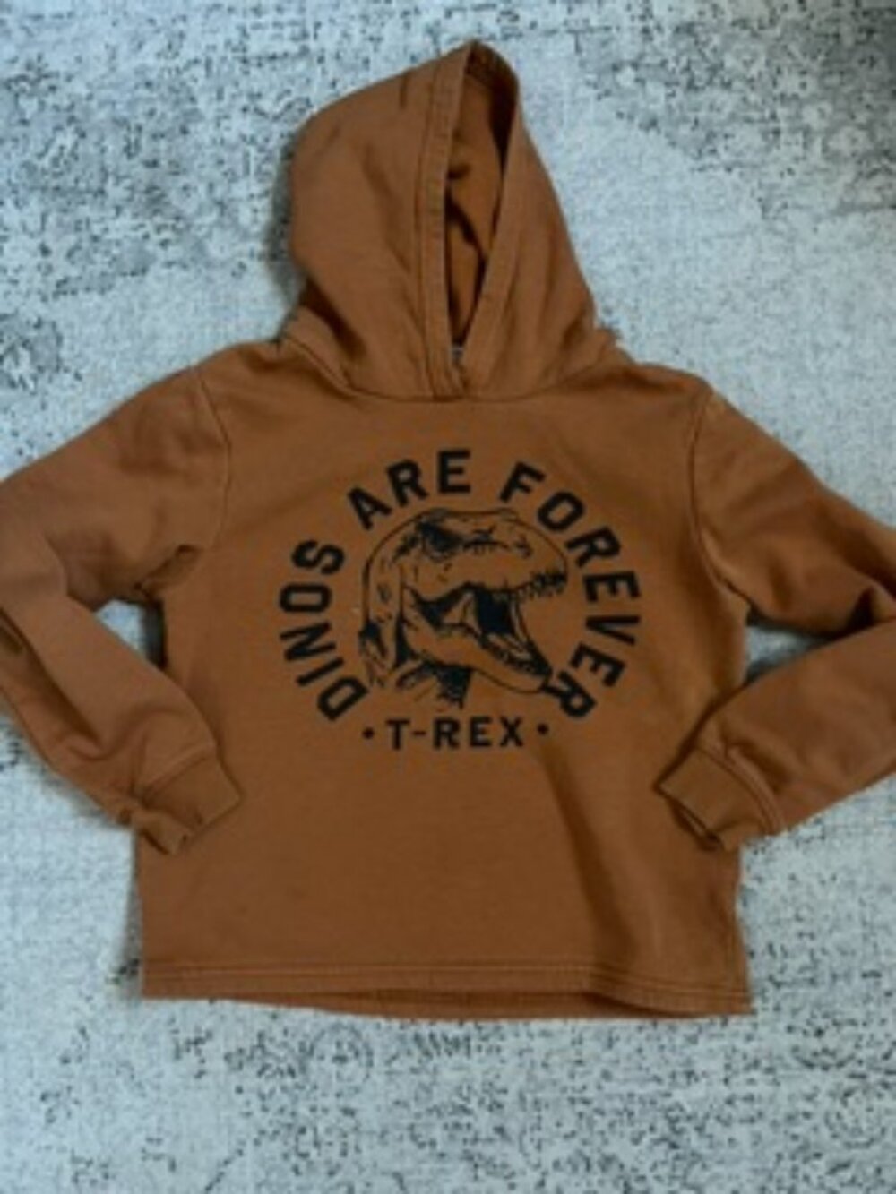 🧡3/$15  H&M "DINOS ARE FOREVER" "T-REX" Hoodie Kids 8-10